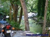 Sutter Creek Road - 009