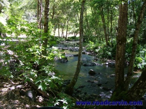 Sutter Creek Road - 022