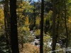 West Fork of the Carson River: Peeking thru the aspens, into the Carson River.