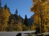 The road awash in color
