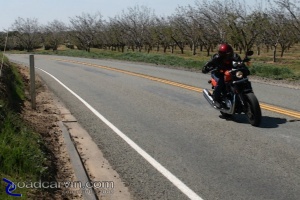 An entertaining ride: The 2009 XR1200 Sportster at speed