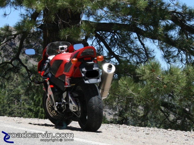 Independence Day Ride - CBR954RR Rear View