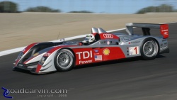 2008 ALMS - Audi TDI - P1