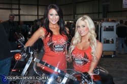 2011 IMS - Harley Girls