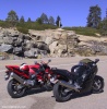 Road Carvers Take a Break
