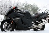Snow Bird