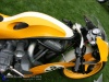 2008 LOTM - Goldammer - Gold Member - Engine