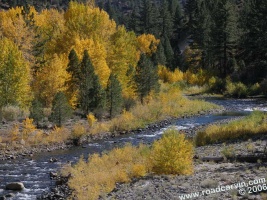 Carson River: Stunning views