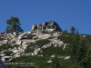 Independence Day Ride - Scenic Overlook - Tree