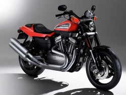 2009 Harley-Davidson - XR1200 3/4 Right Side 2009 Harley-Davidson - XR1200 3/4 Right Side