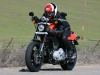 2009 Harley-Davidson Sportster XR1200 - Flat Track Style 2009 Harley-Davidson Sportster XR1200 - Flat Track Style