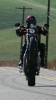 2009 Harley-Davidson Sportster XR1200 - Wheelie 2009 Harley-Davidson Sportster XR1200 - Wheelie