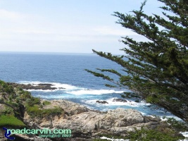 HWY 1 Carmel Highlands - No Filter: This photo of a cove in Carmel HIghlands was taken with a Canon S80 digital camera without a filter.
