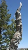 Independence Day Ride - Twisted Dead Tree